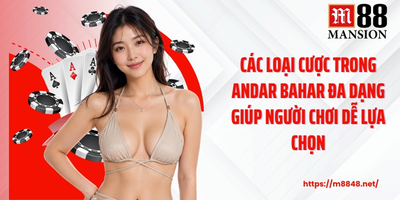 Các loại cược trong Andar Bahar đa dạng giúp người chơi dễ lựa chọn