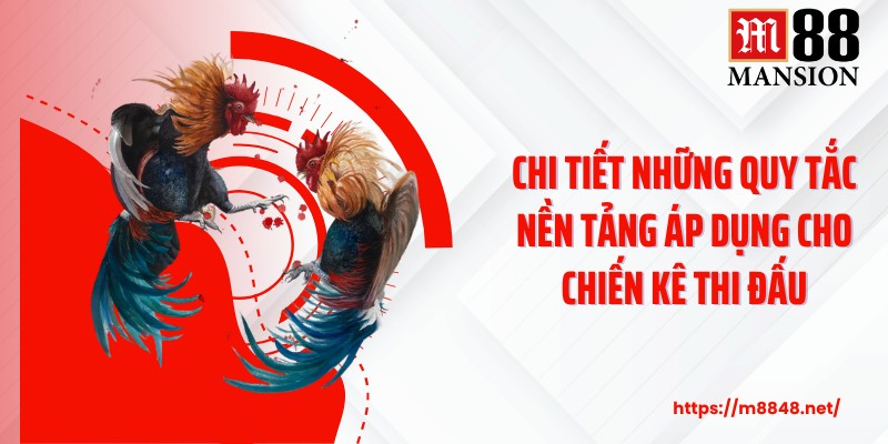 Chi tiết những quy tắc nền tảng áp dụng cho chiến kê thi đấu