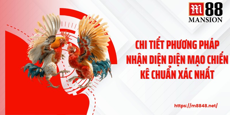 Chi tiết phương pháp nhận diện diện mạo chiến kê chuẩn xác nhất
