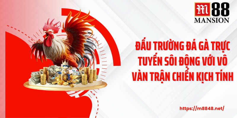 Đấu trường đá gà trực tuyến sôi động với vô vàn trận chiến kịch tính