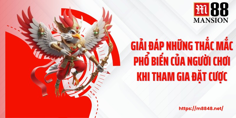 Giải đáp những thắc mắc phổ biến của người chơi khi tham gia đặt cược