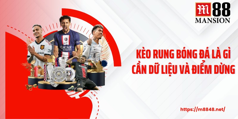Kèo rung bóng đá là gì cần dữ liệu và điểm dừng