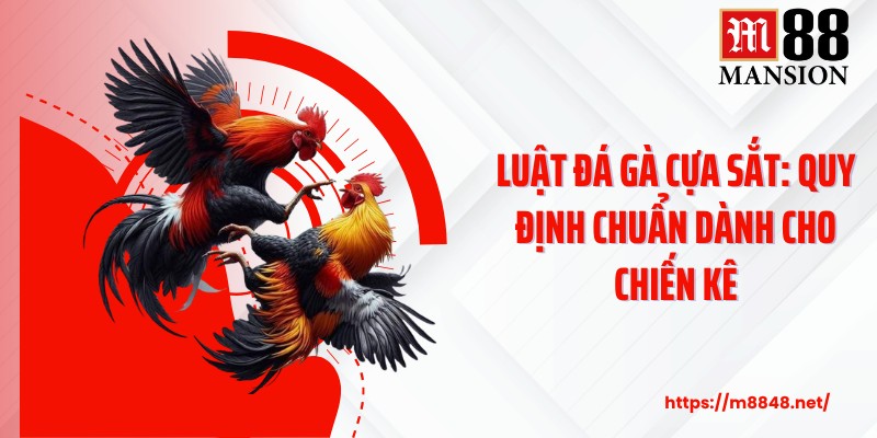 Luật Đá Gà Cựa Sắt: Quy Định Chuẩn Dành Cho Chiến Kê