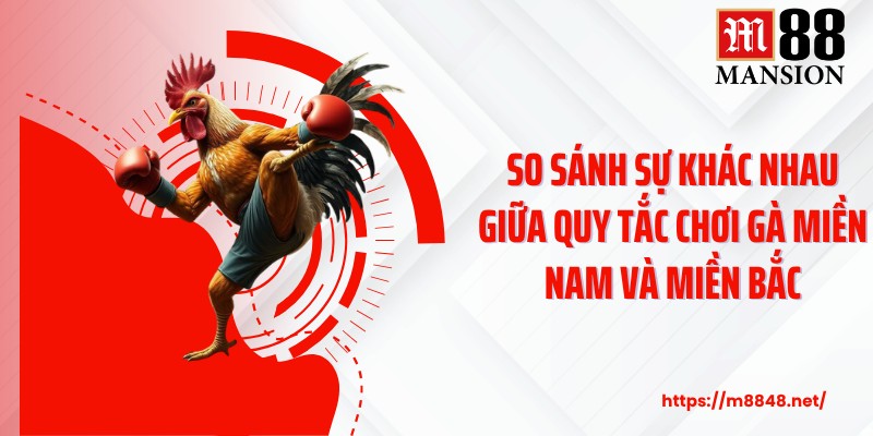 So sánh sự khác nhau giữa quy tắc chơi gà miền Nam và miền Bắc