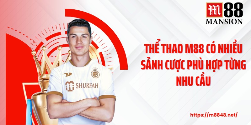 Thể thao M88 có nhiều sảnh cược phù hợp từng nhu cầu