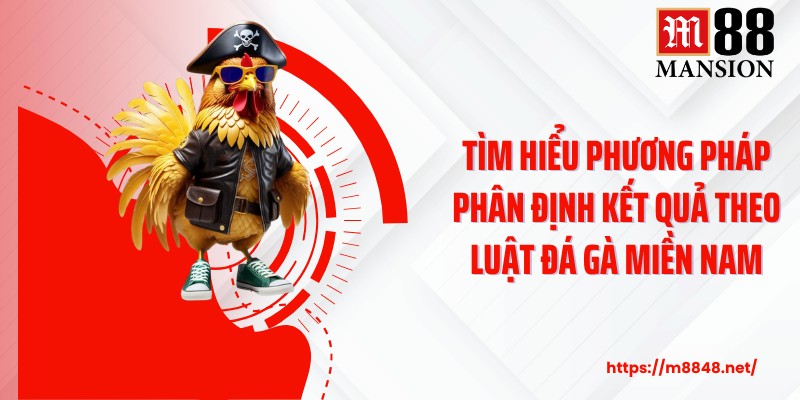 Tìm hiểu phương pháp phân định kết quả theo luật đá gà miền Nam