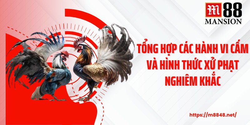 Tổng hợp các hành vi cấm và hình thức xử phạt nghiêm khắc