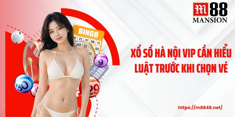 Xố số Hà Nội Vip cần hiểu luật trước khi chọn vé